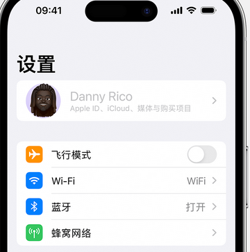 商河appleID维修服务iPhone设置中Apple ID显示为灰色无法使用 