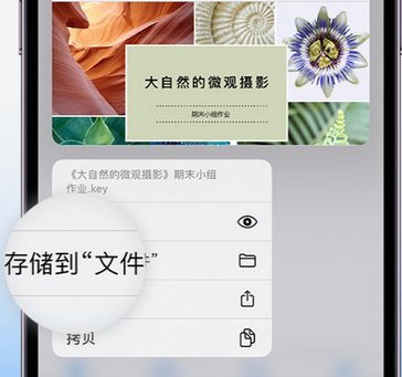 商河apple维修中心分享iPhone文件应用中存储和找到下载文件