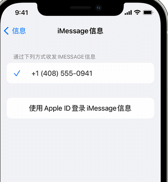 商河apple维修iPhone上无法正常发送iMessage信息 