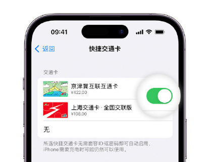 商河apple维修点分享iPhone上更换Apple Pay快捷交通卡手绘卡面 