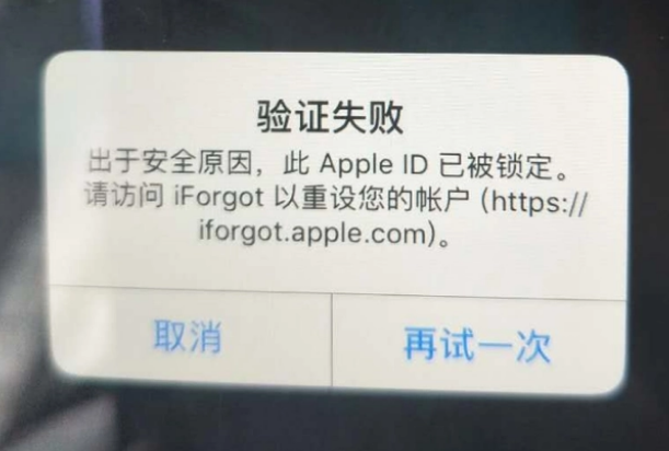 商河iPhone维修分享iPhone上正常登录或使用AppleID怎么办 