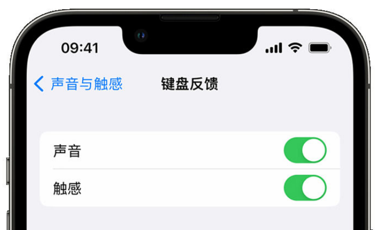 商河苹果手机维修分享iPhone 14触感键盘使用方法 