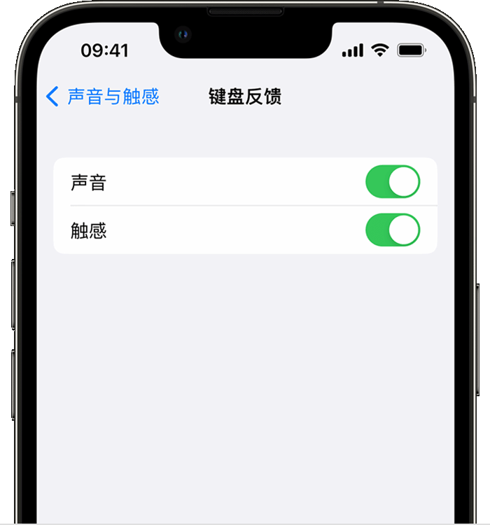 商河苹果14维修店分享如何在 iPhone 14 机型中使用触感键盘 