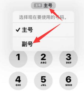 商河苹果14维修店分享iPhone 14 Pro Max使用副卡打电话的方法 