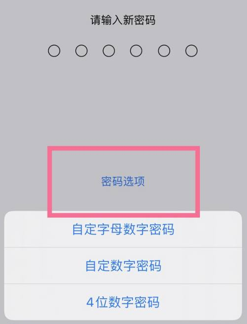 商河苹果14维修分享iPhone 14plus设置密码的方法 