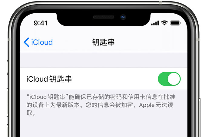 商河苹果手机维修分享在 iPhone 上开启 iCloud 钥匙串之后会储存哪些信息 