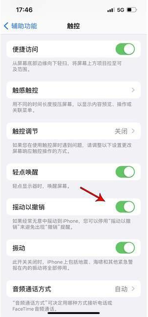 商河苹果手机维修分享iPhone手机如何设置摇一摇删除文字 